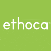Ethoca, creators of Ethoca Eliminator, can save you from a number of chargebacks.